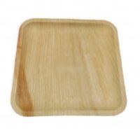 10 Pratos de Jantar Reutilizáveis